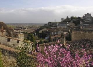 pretty in pink: St.Emilion